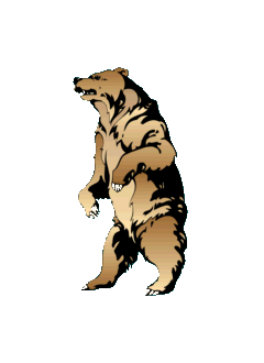 Grizzly Bear